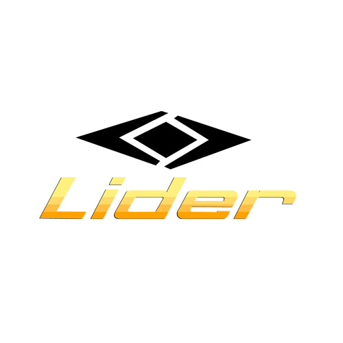 lider-onibus-turismo